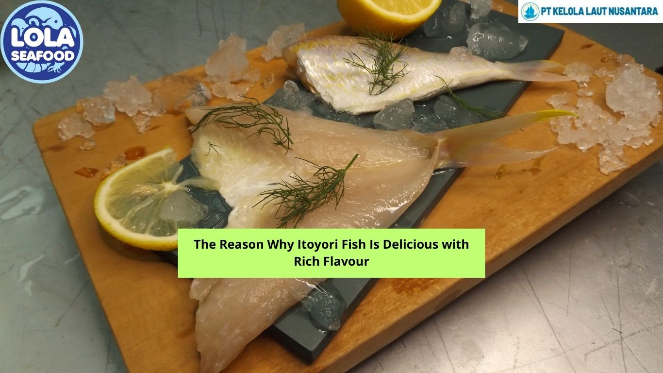 The Reason Why Itoyori Fish Is Delicious with Rich Flavour